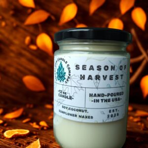 Season of Harvest 12oz hand-poured soy candle by LinaBloom — crisp apple, clove, and dry oak leaves