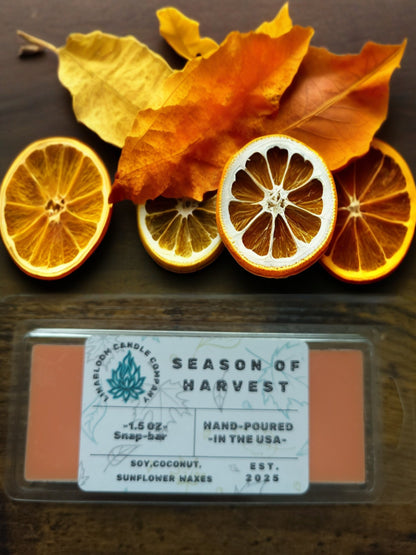 Season of Harvest 1.5oz snap-bar wax melt by LinaBloom — apple and clove